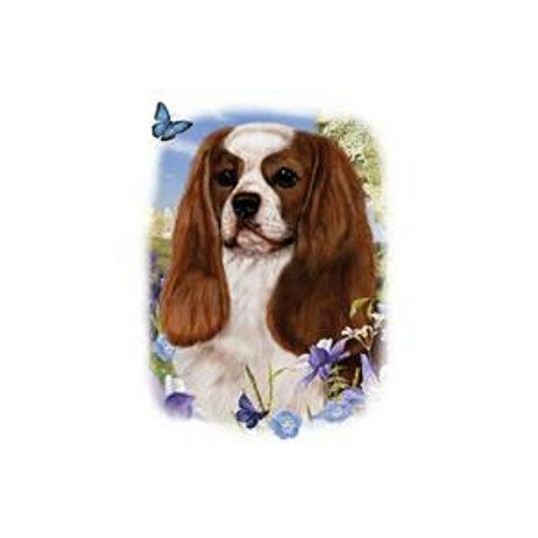 LoAiԁj P 65cm a110cm fB[X Y jp JP 킢  ~J CObY UVJbg ɋ ϕ   ObY