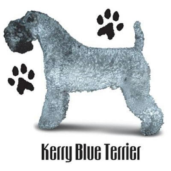 P[u[eA iPj P[u[ObY P 65cm a110cm fB[X Y jp JP 킢  ~J CObY UVJbg ɋ