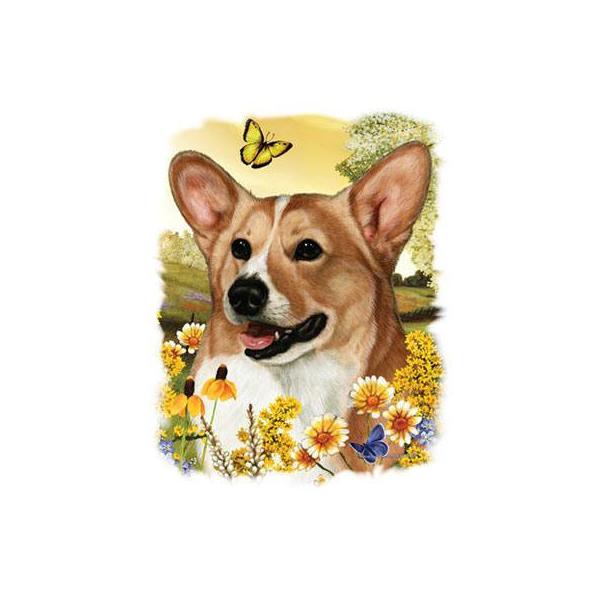 R[M[ iԁjR[M[ObY P 65cm a110cm fB[X Y jp JP 킢  ~J CObY UVJbg ɋ ϕ  