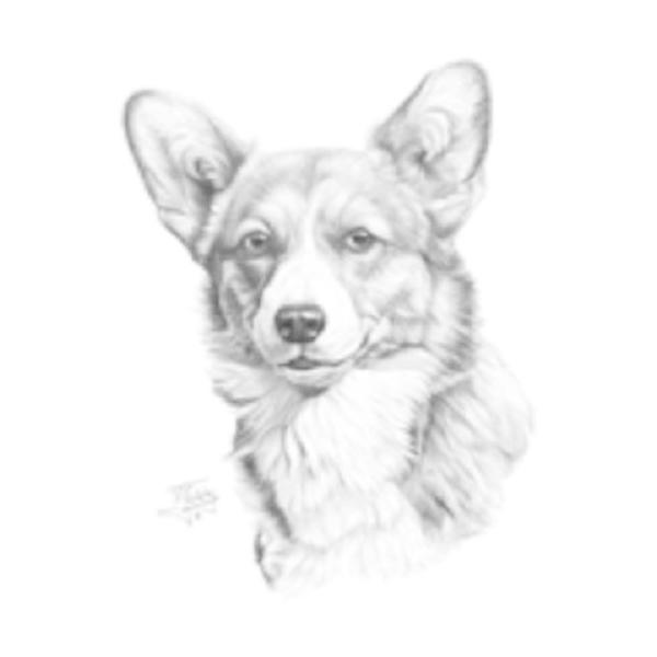 R[M[ iGscj R[M[ObY P 65cm a110cm fB[X Y jp JP 킢  ~J CObY UVJbg ɋ ϕ 