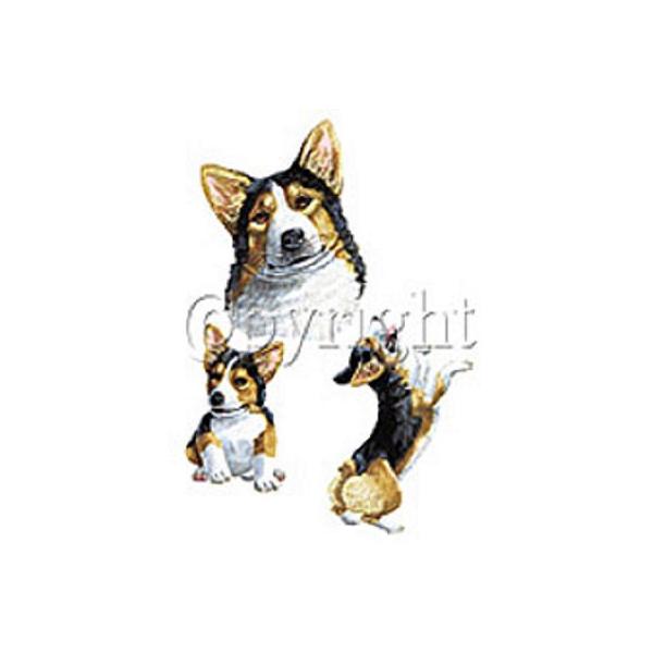 R[M[ iJbWj R[M[ObY P 65cm a110cm fB[X Y jp JP 킢  ~J CObY UVJbg ɋ ϕ 