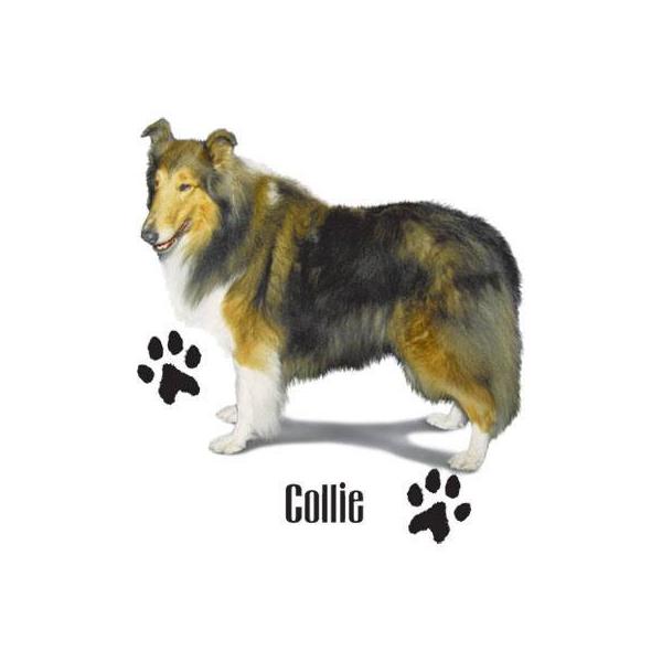 R[ iPjR[ObY P 65cm a110cm fB[X Y jp JP 킢  ~J CObY UVJbg ɋ ϕ  