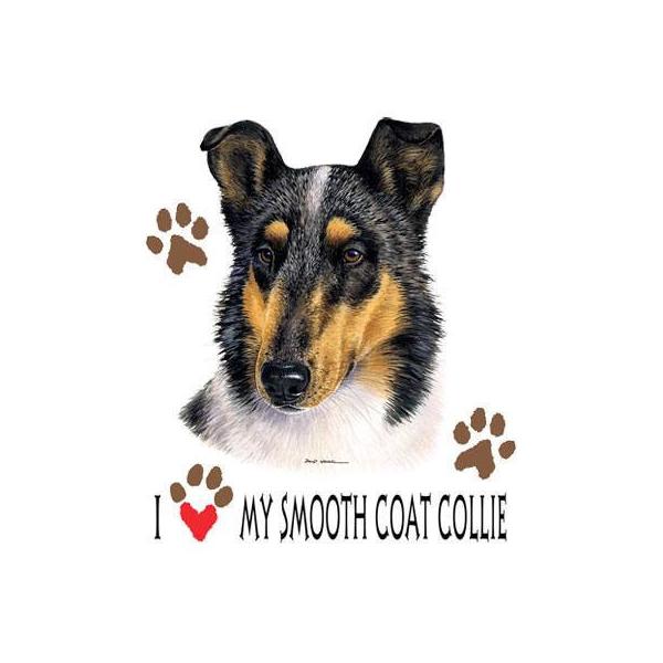 R[in[g) P 65cm a110cm fB[X Y jp JP 킢  ~J CObY UVJbg ɋ ϕ   ObY