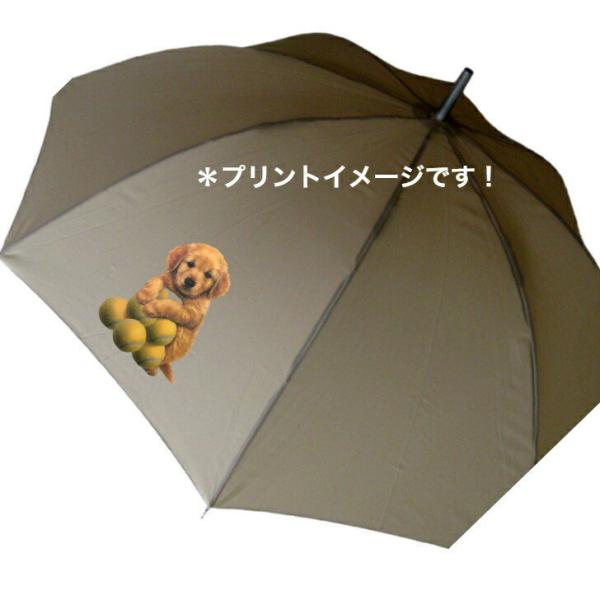 S[fg[o[ S[fgo[ ps[ iejXj S[fObY P 65cm a110cm fB[X Y jp JP 킢 