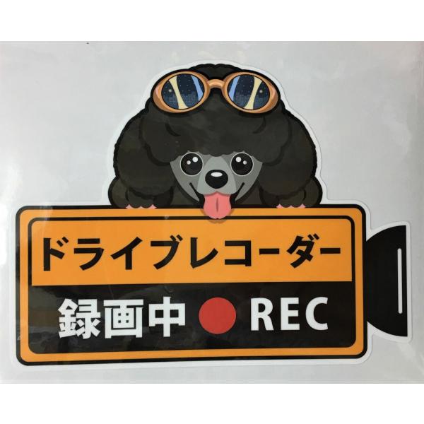  v[h hCuR[_[^撆EʊOXebJ[ubNv[h hR XebJ[ hbO Ck  /I[i[ObY ^] G