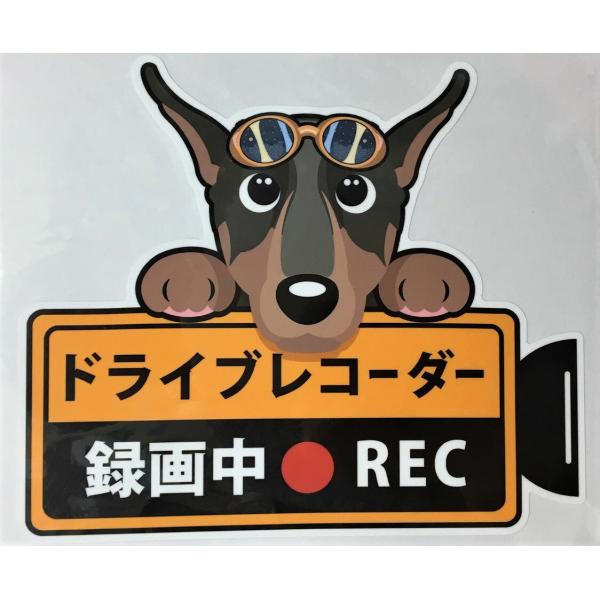  h[x} hCuR[_[^撆EʊOXebJ[ih[x}PjhR XebJ[ hbO Ck   I[i[ObY ^]