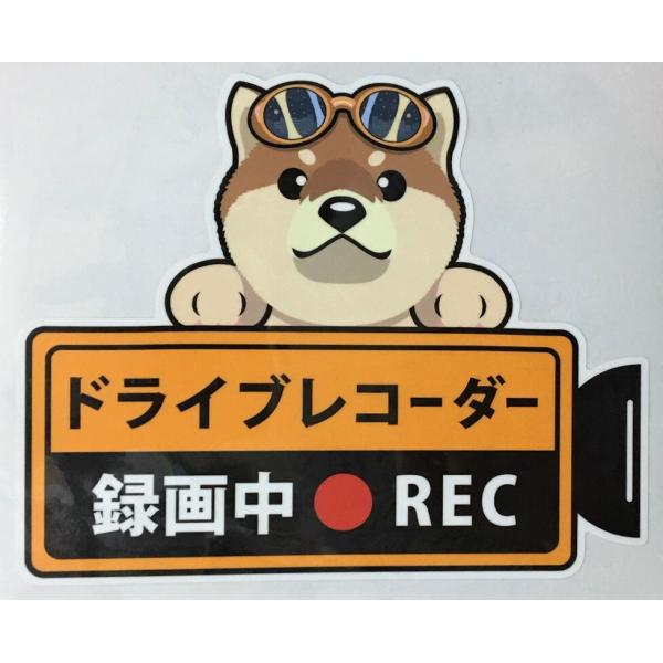  Č Ԏ hCuR[_[^撆  OXebJ[iVoCkPjhR XebJ[ hbO   Ck  I[i[YObY ^] G