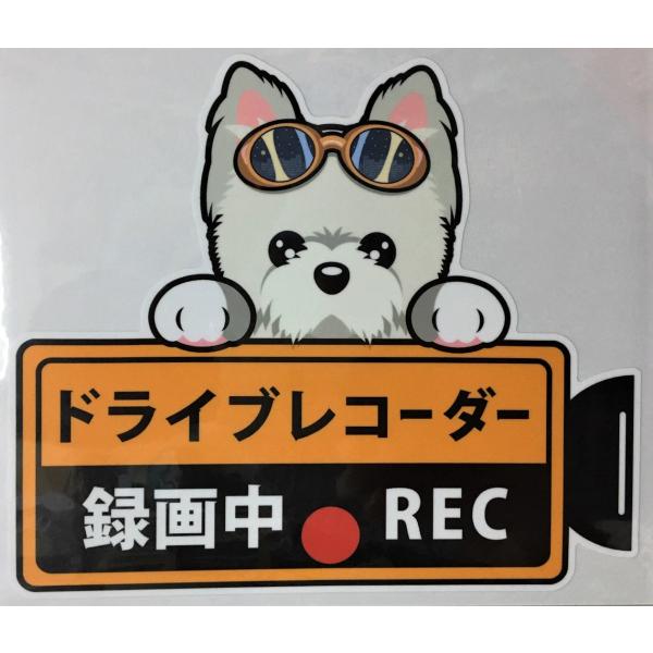  EGXgnChzCgeA EGXeB[ hCuR[_[^撆  OXebJ[hR XebJ[ hbO  Ck   ^]