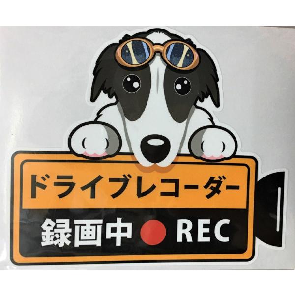  {]C hCuR[_[^撆EʊOXebJ[i{]CjhR XebJ[ hbO  Ck  I[i[YObY ^] fh~