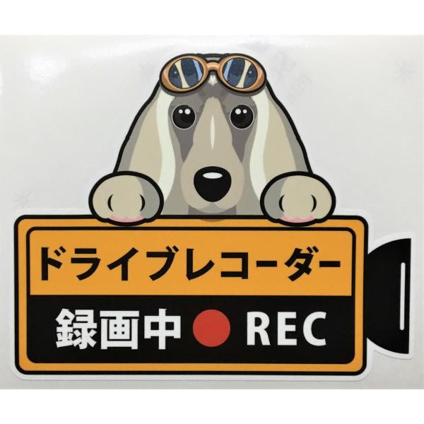 hCuR[_[^撆 ʊOXebJ[iAtKnEhjhR XebJ[ hbO    I[i[YObY ^] fh~ G