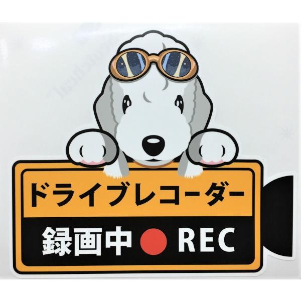  ׃hgeA hCuR[_[^撆  OXebJ[ hR XebJ[ hbO   I[i[YObY ^] fh~ G