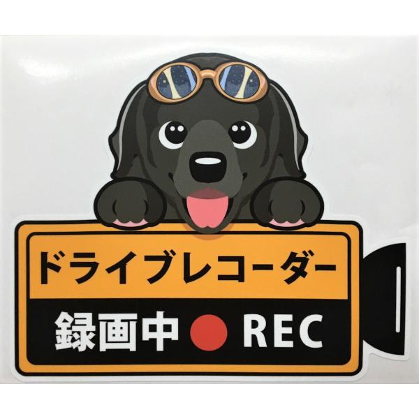  ubNu hCuR[_[^撆  OXebJ[ uh[g[o[ ubN hR XebJ[ hbO    ^] G