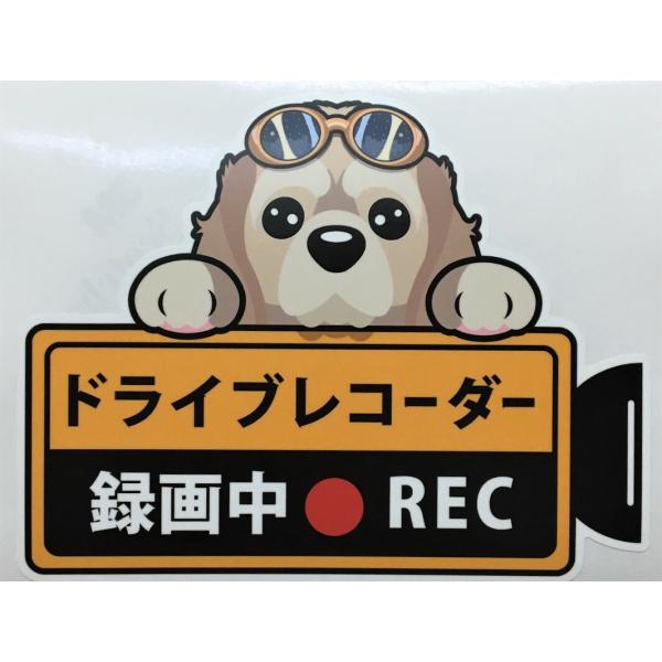  hCuR[_[^撆  OXebJ[ AJRbJXpjG hR XebJ[ hbO vg   ybg 킢 fh~