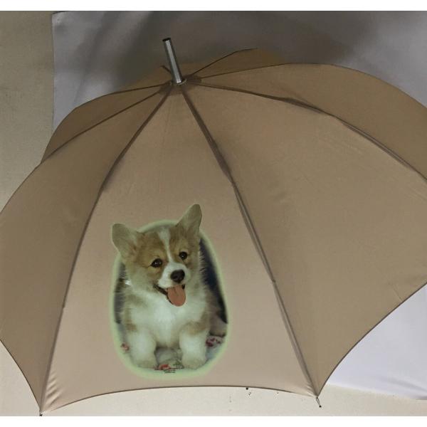 R[M[ ips[j P 65cm a110cm fB[X Y jp JP 킢  ~J CObY UVJbg ɋ ϕ   ObY