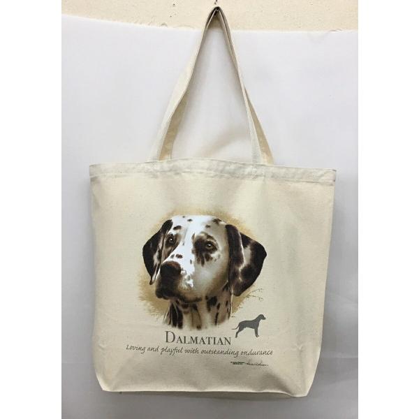 _VA g[gobO GRobO }CobO킢  fB[X Y jp a4 傫 LoX hbO    vg