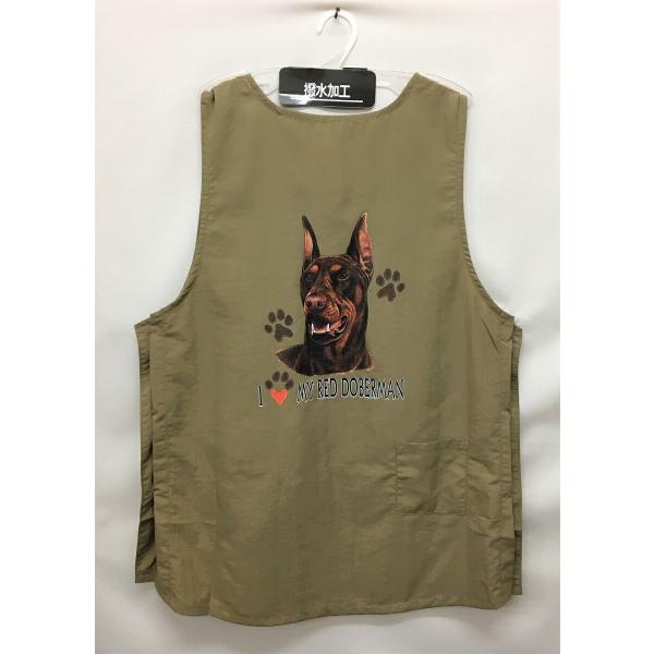 h[x} bh hbO vgin[g) g~OGv iCbV[ e{^ H g}[ ۈm O| fB[X Y 