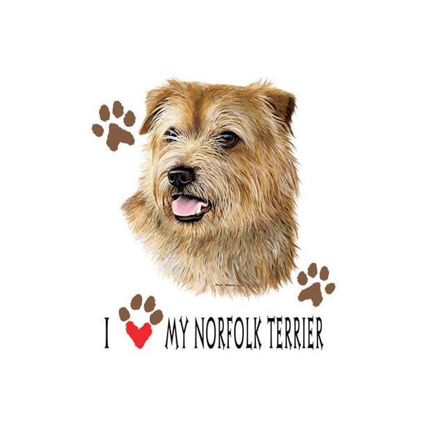 m[tH[NeA fjGv 񂩂^Cv |Pbgt 킢 fB[X jp p jp  DIY   vg  G