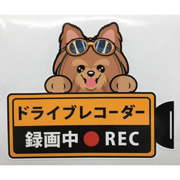  PA[eA PAteria hCuR[_[^撆  OXebJ[ PA[hR XebJ[ hbO  Ck   I[i[YObY