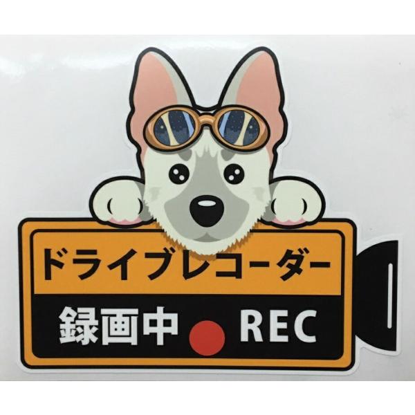 REC  VFp[h zCg VFp[h  낢 hCuR[_[^撆  OXebJ[ hR XebJ[  hbO  I[i[YObY