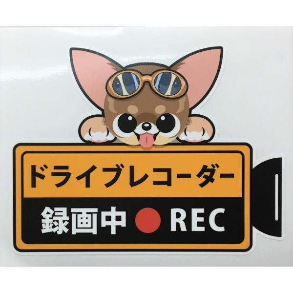 REC  ` hCuR[_[^撆  OXebJ[ X[X hRXebJ[ J[XebJ[  hbO  I[i[ObY ^]