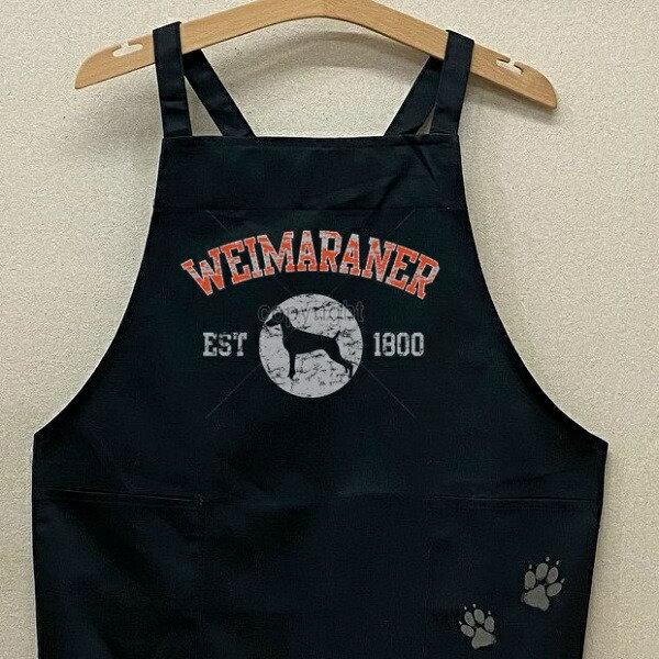 C}i[ J[ GviVGbg) obNNX X^ |  킢 ۈm [NGv   hbO  Ck  Mtg