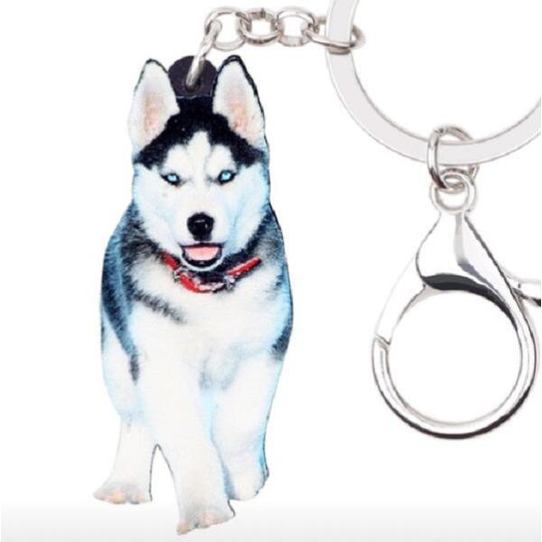 L[z_[ VxAnXL[ nXL[ObY AN   Ck dog  G I[i[ObY 킢 A L[`F[ vg