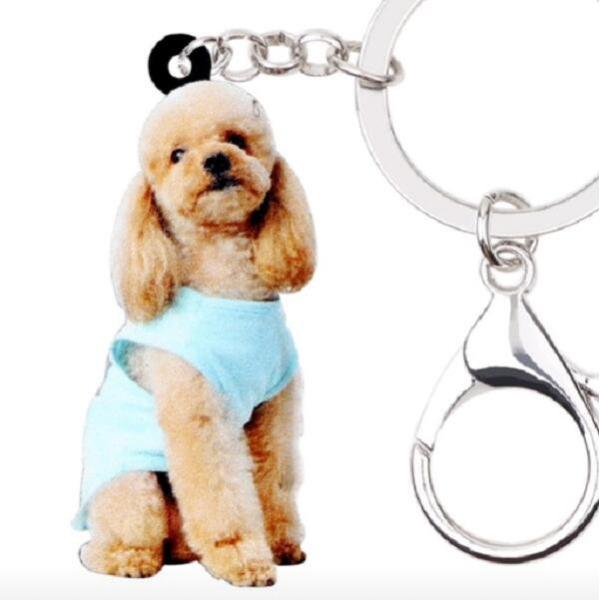 L[z_[ v[h NO.1 v[hObY AN   Ck dog  G I[i[ObY 킢 A L[`F[ vg