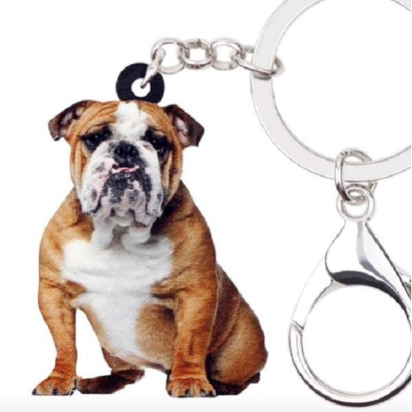 L[z_[ uhbO uObY AN   Ck dog  G I[i[ObY 킢 A L[`F[ vg