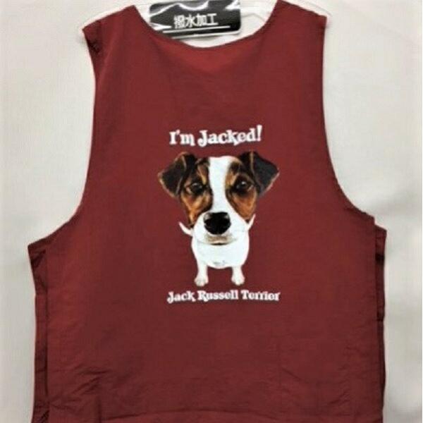 WbNbZ WbNObY g~OGv iCbV[ e{^ H g}[ ۈm O| fB[X Y Vv 킢