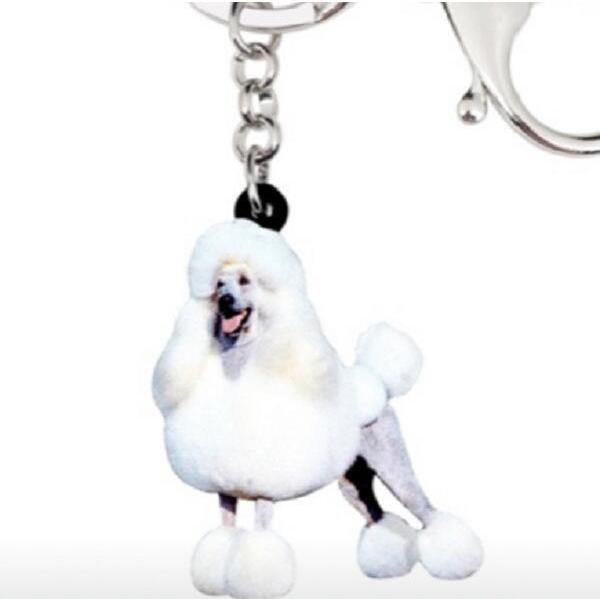 L[z_[ v[h v[hObY zCgv[h AN   Ck dog  G I[i[ObY 킢 A L[`F[ vg