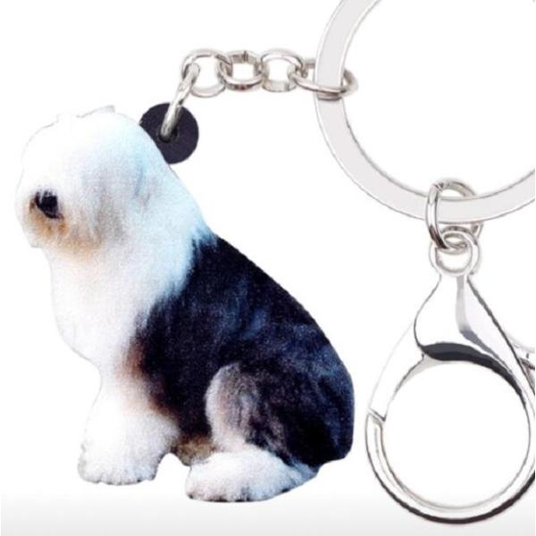 L[z_[ I[hCObVV[vhbO I[hObY AN   Ck dog  G I[i[ObY 킢 A L[`F[