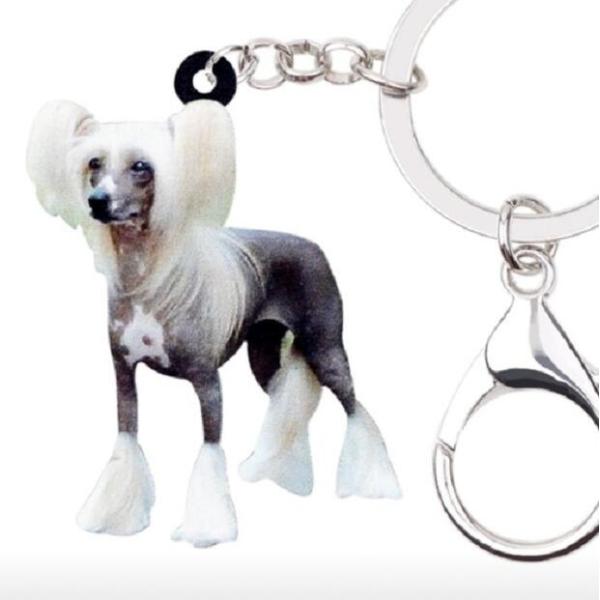 L[z_[ `Cj[YNbZbh `CNObY AN   Ck dog  G I[i[ObY 킢 A L[`F[ vg