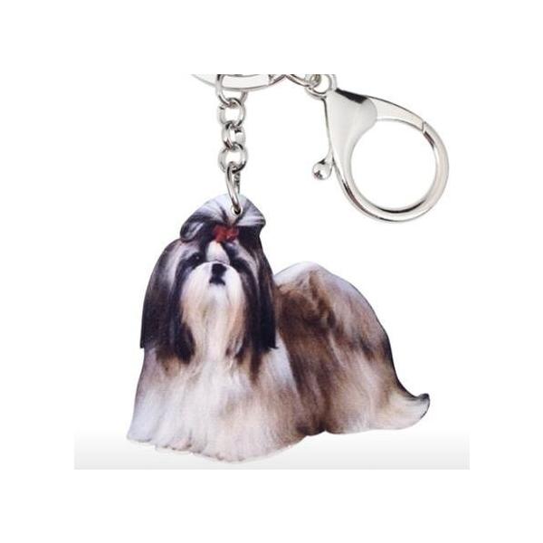 L[z_[ V[Y[ V[Y[ObY AN   Ck dog  G I[i[ObY 킢 A L[`F[ vg