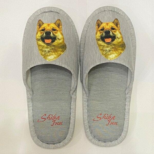 Č VoCk VoP Č ΂ ČObY iNo.1j Xbp 􂦂 jp O[ XgCv ې EHbVu [V[Y 킢