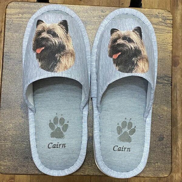 PA[eA PAObY iNo.1j Xbp 􂦂 jp O[ XgCv ې EHbVu [V[Y 킢  qp 