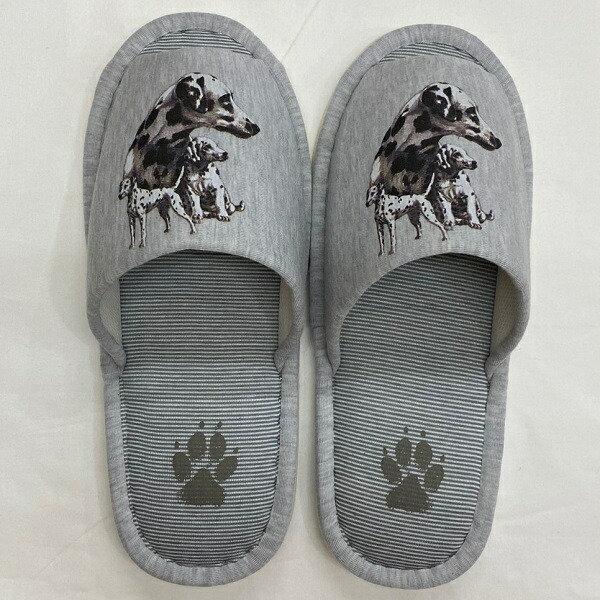 _VAiB) Xbp 􂦂 jp O[ XgCv ې EHbVu [V[Y 킢  qp   V