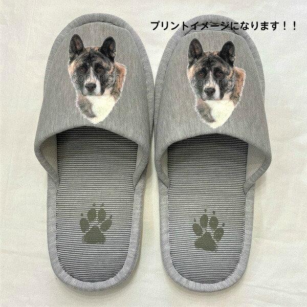 AL^Ck Hc AJAL^ iHj ObY Xbp 􂦂 jp O[ XgCv ې EHbVu [V[Y 킢