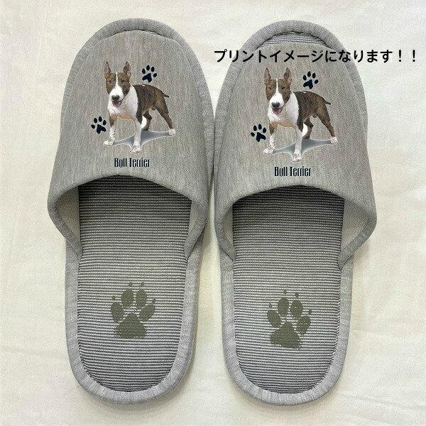 ueA Xbp 􂦂 iPj O ueObY jp O[ XgCv ې EHbVu [V[Y 킢  qp V