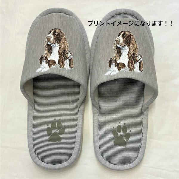 CObVXvK[ Xbp 􂦂 iBj O XvK[ObY jp O[ XgCv ې EHbVu [V[Y 킢