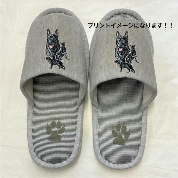 W[}VFp[h ubNVFp[h Xbp 􂦂 iBj O W[}ObY jp O[ XgCv ې EHbVu [V[Y