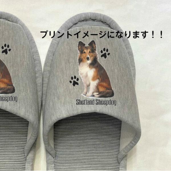 VFbghV[vhbO VFeB[ Xbp 􂦂 iPj O VFeB[ObY jp O[ XgCv ې EHbVu 킢