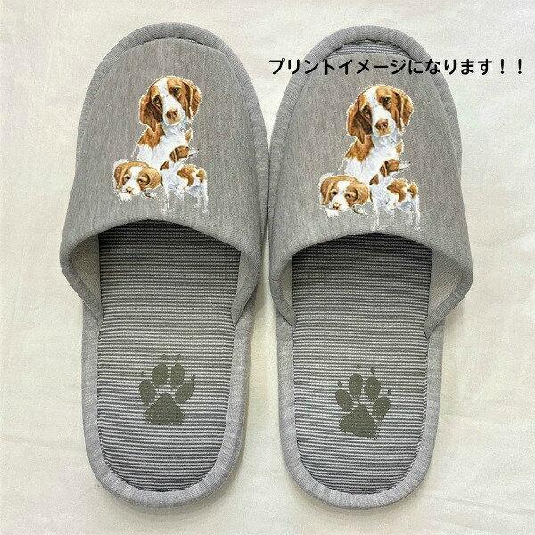 u^j[XpjG Xbp 􂦂 iaj O u^j[ObY jp O[ XgCv ې EHbVu [V[Y 킢 