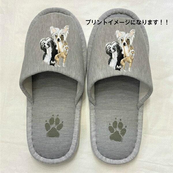 `Cj[YNbZbh `CN Xbp 􂦂 iaj O `CNObY jp O[ XgCv ې EHbVu [V[Y