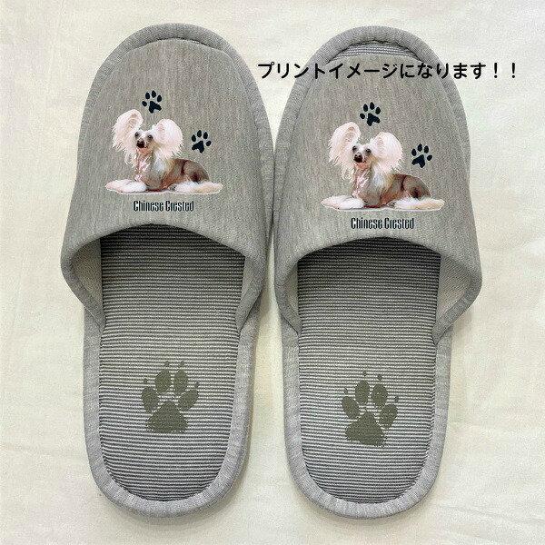 `Cj[YNbZbh `CN Xbp 􂦂 ioj O `CNObY jp O[ XgCv ې EHbVu [V[Y