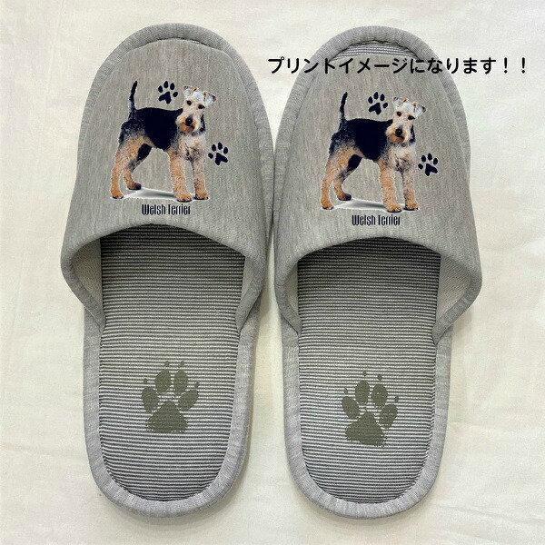 EGbVeA Xbp 􂦂 iBj O EGbVeAObY jp O[ XgCv ې EHbVu [V[Y 킢