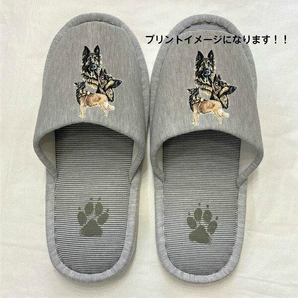 xWAVFp[h ^[r Xbp 􂦂 iBj O ^[r[ObY jp O[ XgCv ې EHbVu [V[Y 킢