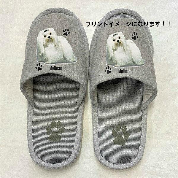 }`[Y Xbp 􂦂 iPj O ObY jp O[ XgCv ې EHbVu [V[Y 킢  qp 