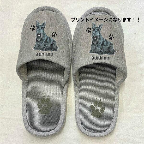 XReBbVeA Xbp 􂦂 iPj O XRb`ObY jp O[ XgCv ې EHbVu [V[Y 킢 