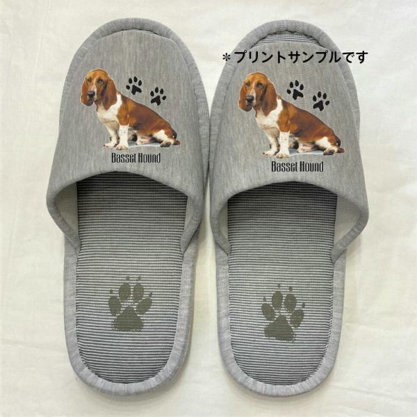 oZbgnEh Xbp 􂦂 iBj O jp O[ XgCv ې EHbVu [V[Y 킢  qp  V