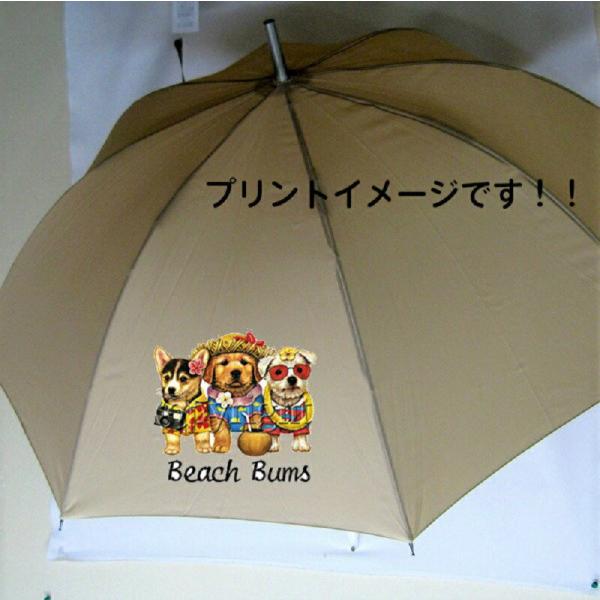 R[M[ EGXgnChzCgeA EGXeB[ S[fgo[ iORj Ovg nC P 65cm a110cm fB[X Y JP